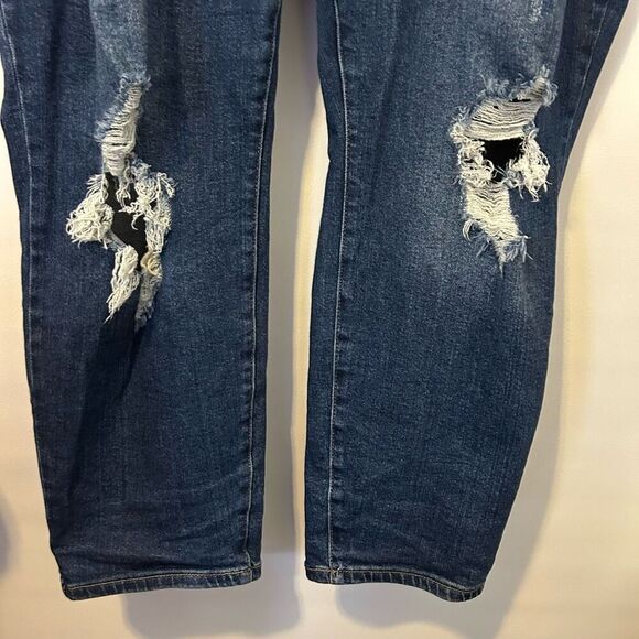 Judy Blue Jeans Redlands High Rise Distressed Size 24W plus boho festival - Picture 2 of 13